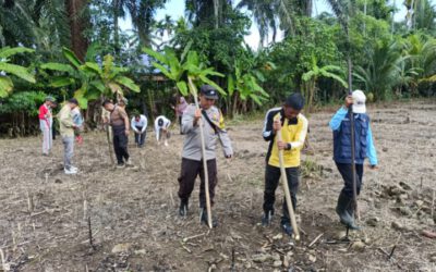 Di Lokasi Lahan Desa Sukaraja, Bhabinkamtibmas Polsek Kedurang Ilir Bantu Tanam Jagung